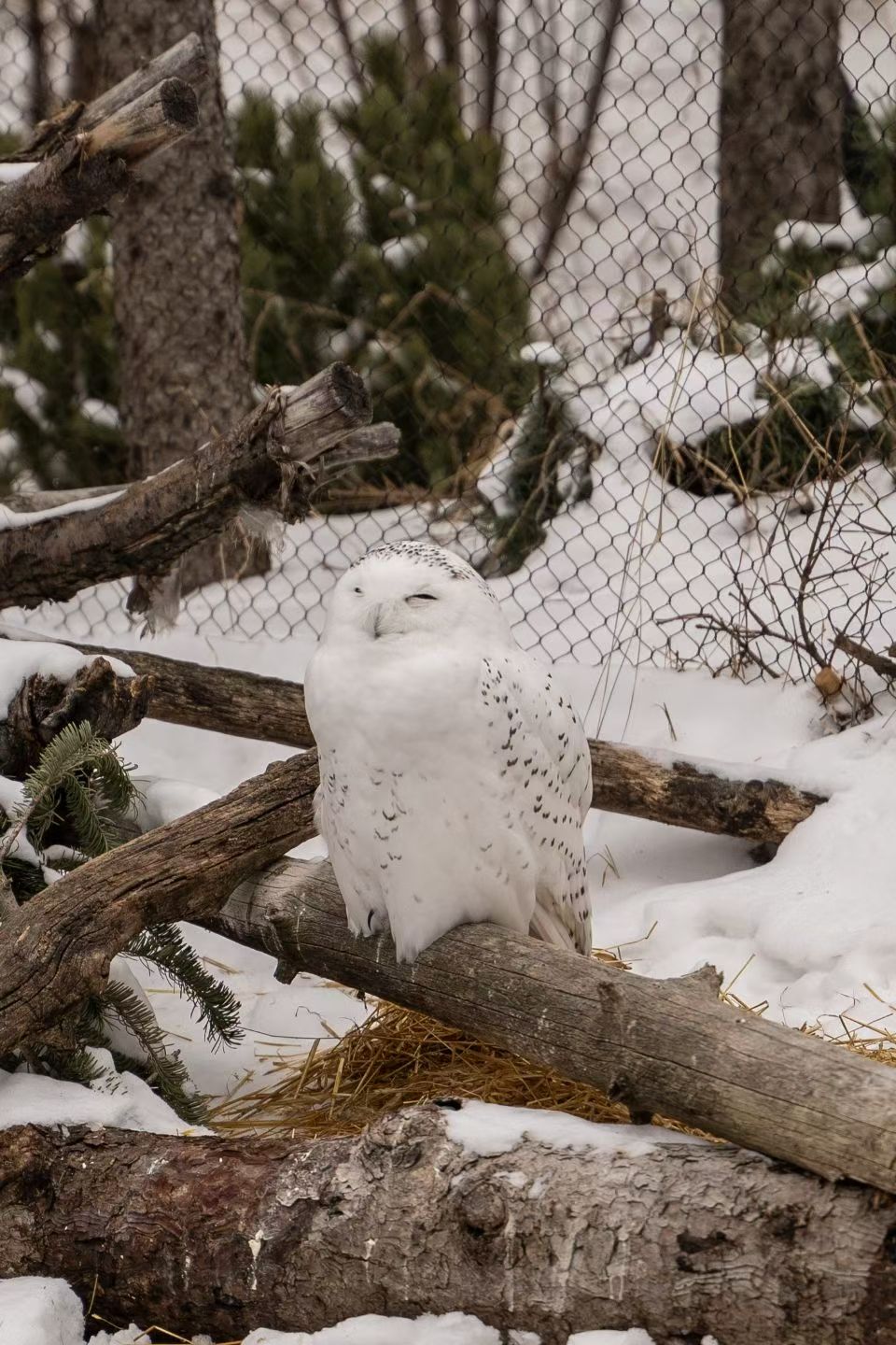 Photography 3